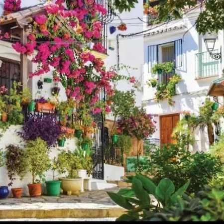Piso Playa Centro C *